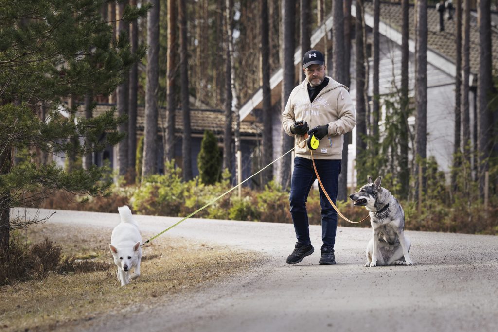 Kaksi koiraa kävelyllä omistajansa kanssa
