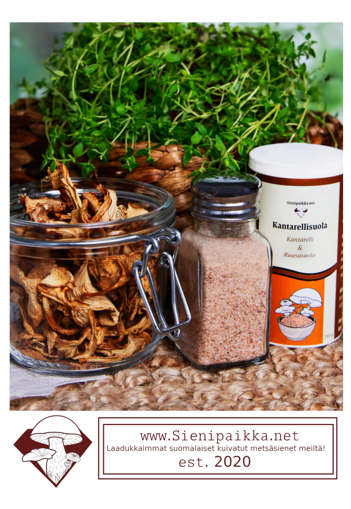 kuivattuja sieniä valokuva sienipaikka